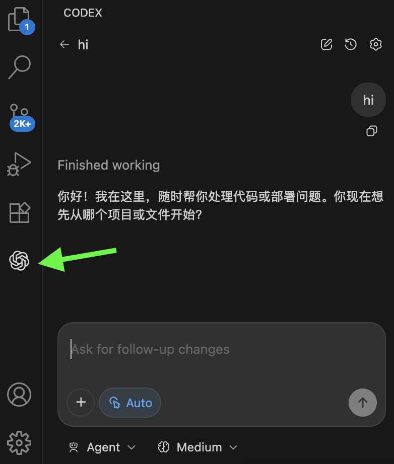 Codex 对话示例 hi